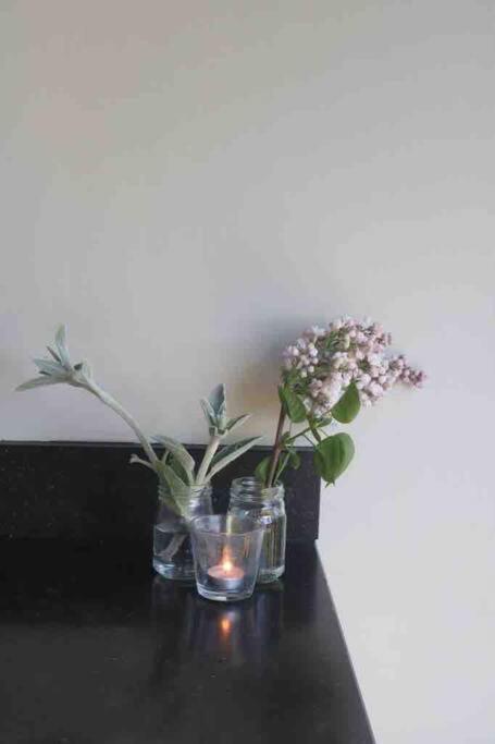 Zeeuwse Ontspanning Apartment